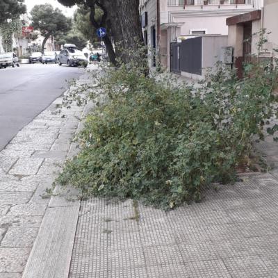Degrado Strade Aree Verdi Casamassima 2