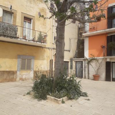 Degrado Strade Aree Verdi Casamassima 7